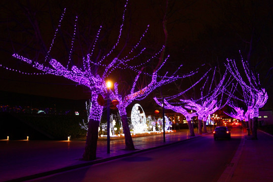 彩灯 城市亮化 春节 灯展