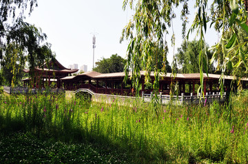 仁寿山公园