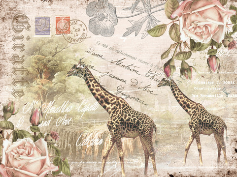 手绘玫瑰 长颈鹿 包装设计