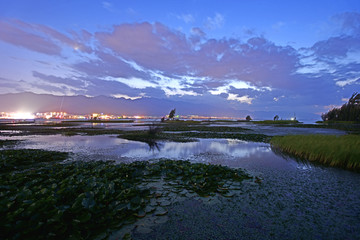 湖畔美景