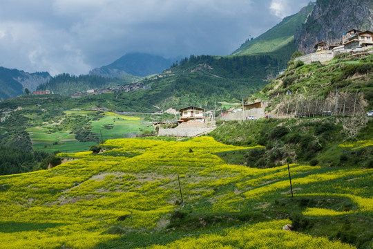 扎尕那村