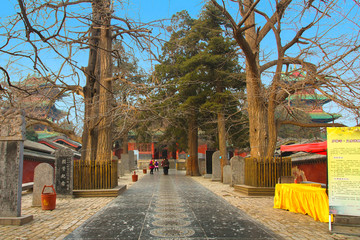 少林寺 登封