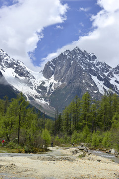 阿坝毕棚沟 河谷 雪山