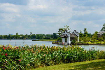 广州海珠湖湿地公园