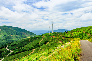 白岩山最美风车公路