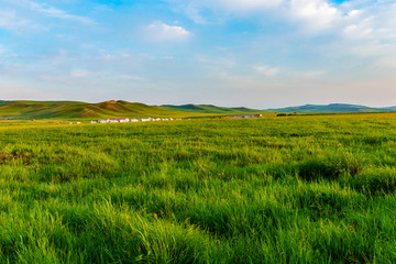 草原牧场 乌拉盖草原