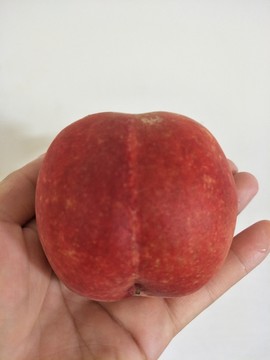 桃子