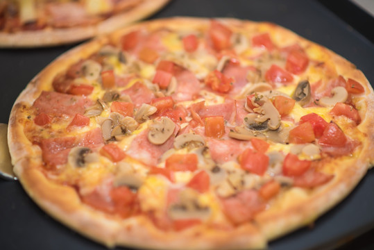 披萨 比萨 pizza