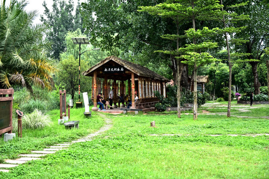 茅草屋 草坪