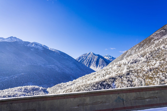 雪后的折多山美景