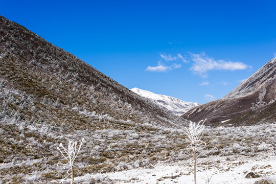 雪后的折多山美景