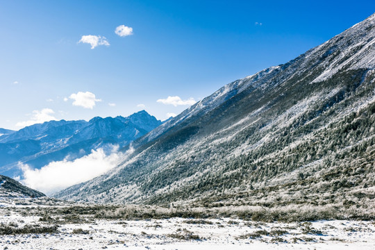 雪后的折多山美景