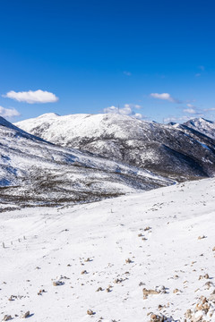 垭口山景