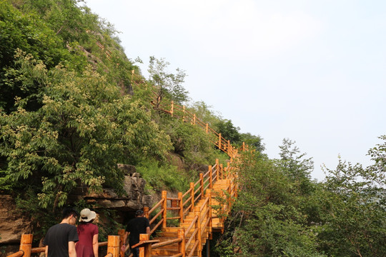 登山阶梯