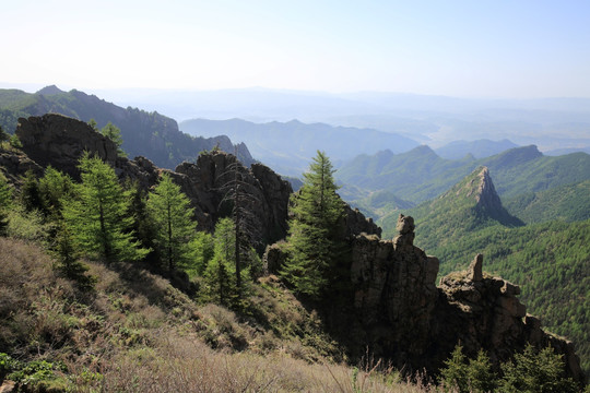 芦芽山