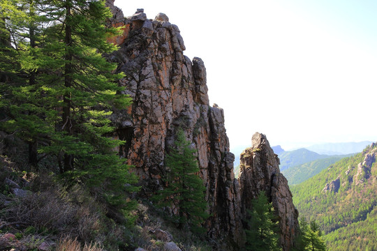 芦芽山