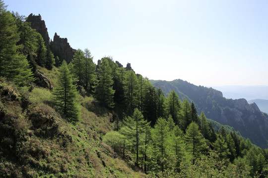 芦芽山