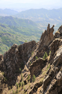 芦芽山