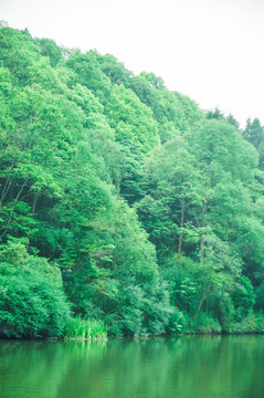 山水