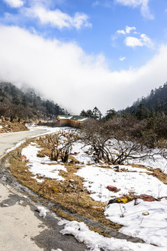 雪后美景