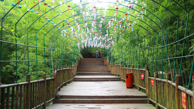 竹林景观路