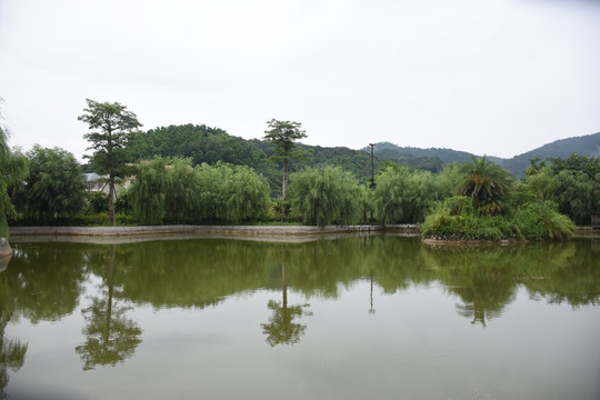风景池