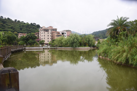 风景池