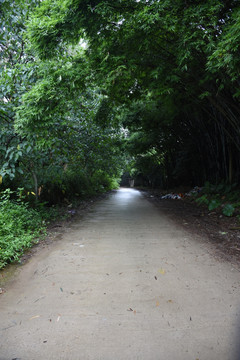 阴萌公路