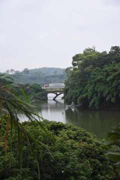 桥梁风景