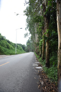 公路