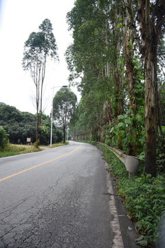 公路