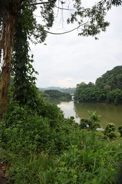 桥梁风景