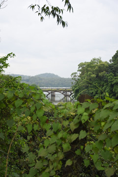 桥梁风景