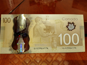 加拿大100元
