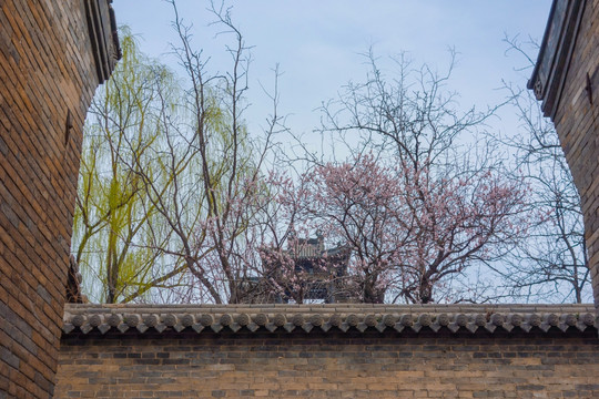 王家大院