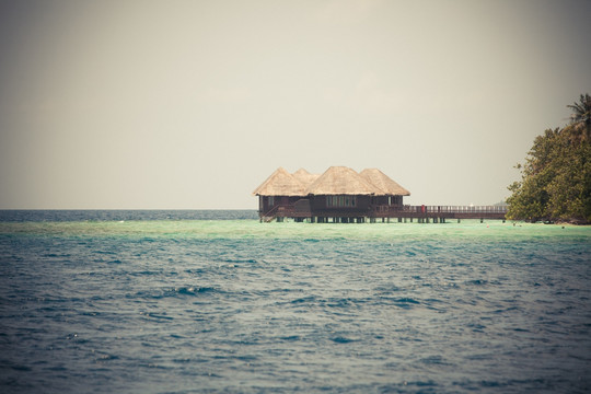 马尔代夫 海岛 旅游 热带 椰