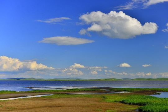 花湖美景