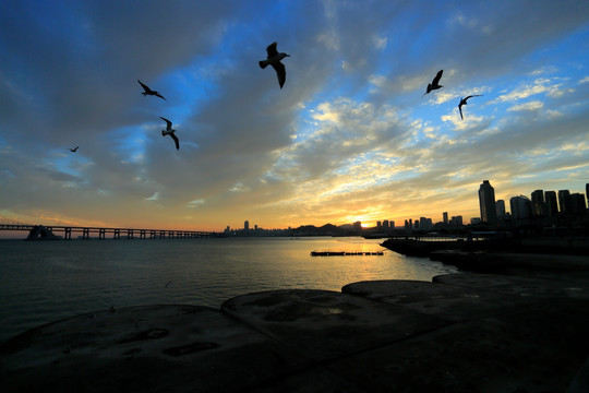 大连 星海广场 夕阳