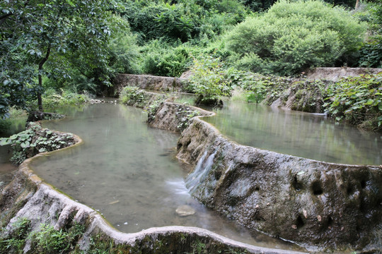 重渡沟五彩莲池