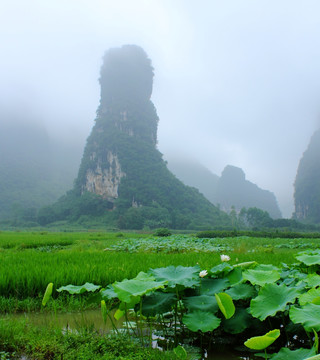 奇峰镇风光