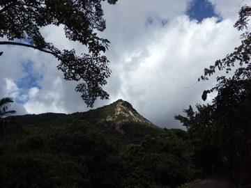 眺望山峰