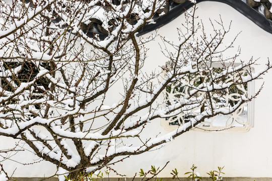 园林庭院雪景