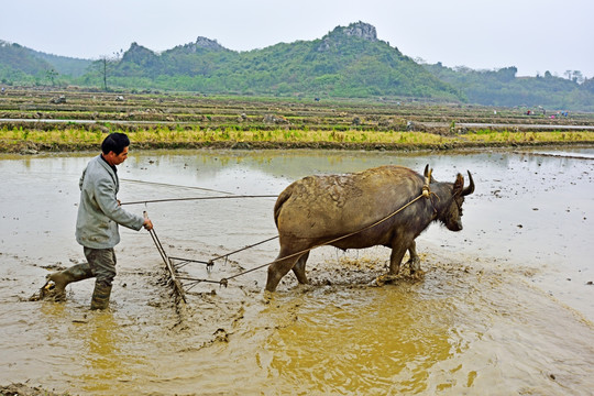 农民劳动场景