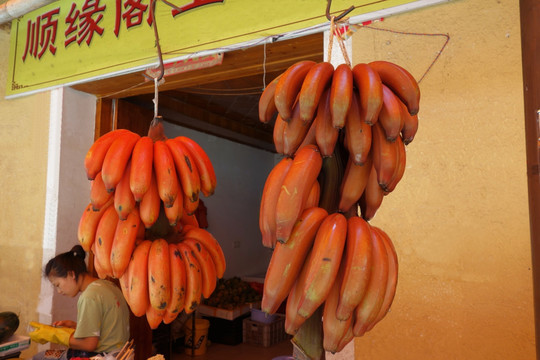 红香蕉 台湾红香蕉