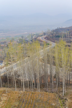 乡村 柏油路