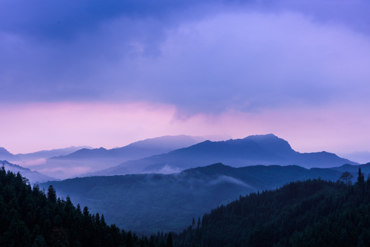 复兴村茶山 云海日出