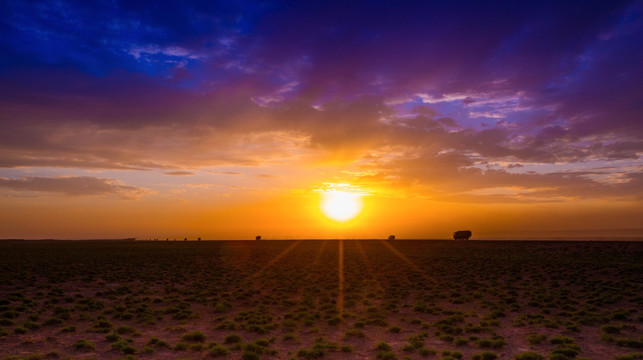 戈壁滩夕阳里行驶的车队