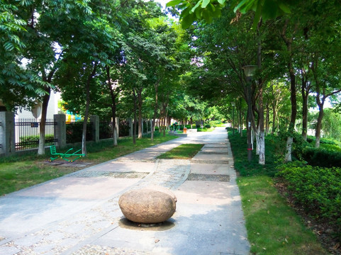 河边游步道 鹅卵石小路