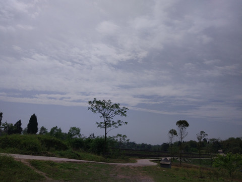 农村