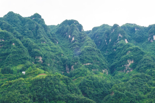 青山 大山